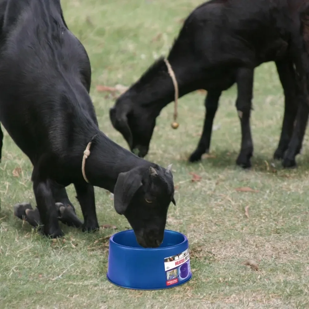 Heated Pet Bowl - Blue